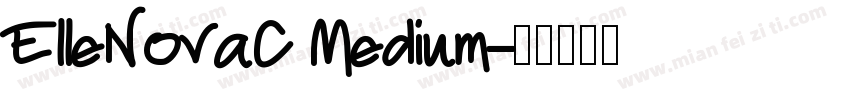 ElleNovaC Medium字体转换